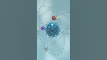 Pauli Exclusion Principle Explained!