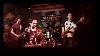 Looking for Droids (Live @ the AlleyCat)