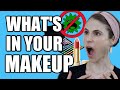 WHAT IS GROWING IN YOUR MAKEUP?| DR DRAY