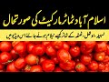Tomato 🍅 Become Cheap in Islamabad  | 19 March 2024 | Tomato Auction | Tomatoes Whoalsale Prices