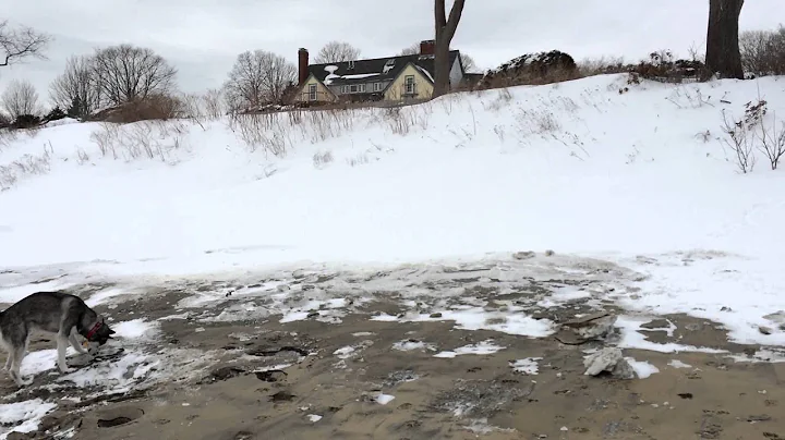 Snow and Surf at Singing Beach Feb 10, 2015