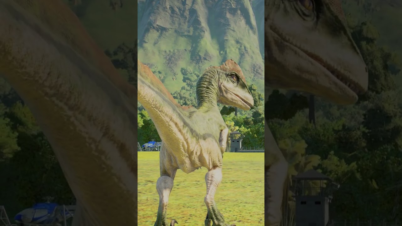 Ornithomimus vs Deinonychus. 