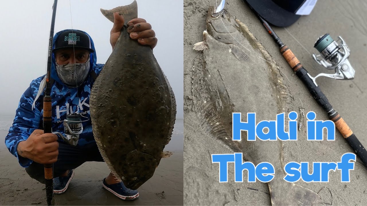 CALIFORNIA HALIBUT FISHING ON THE BEACH FLAT FISH DROPSHOT METHOD YouTube