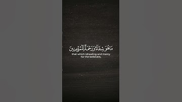 🎧 ﴿وَنُنَزِّلُ مِنَ الْقُرْآنِ مَا هُوَ شِفَاءٌ وَرَحْمَةٌ﴾ | القارئ رعد الكردي #القرآن_الكريم #لايك
