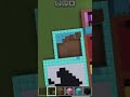 minecraft video like face