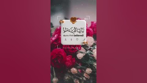إن الله وملائكته يصلون على النبي ﷺ #هزاع_البلوشي #تلاوة_خاشعة #النبي_صلى_الله_عليه_وسلم #تلاوات