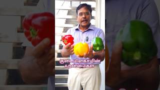 அட மிளகாய்க்கு கூட 4 நன்மைகளா?