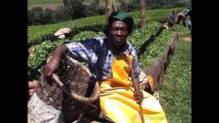 Download Lagu 🔥 2025 Best of Chemirei ft Kipchamba Kalenjin DJ Dewmoh Mix 🎶🎧 MP3