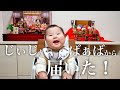 むちむち赤ちゃんお雛様との対面【はじめてのひな祭り】