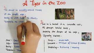 Literary Devices of Animals Poem | class 10 | Easy Explanation | Question  Answer - YouTube