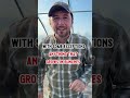 5 Seed Starting Tips 🌱