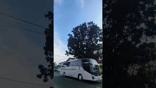 jl. raya anyer #bustelolet #busmania #jetbus5 #busbasuri #buspariwisata