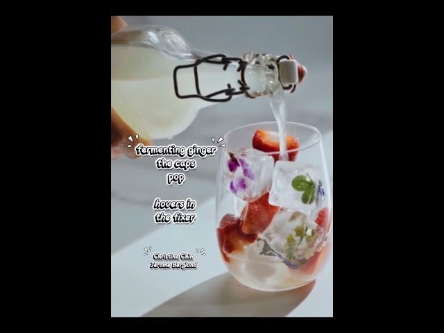 Jerome Berglund & Christina Chin_15 Short Films