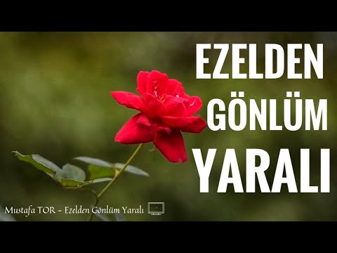 Ezelden Gönlüm Yaralı