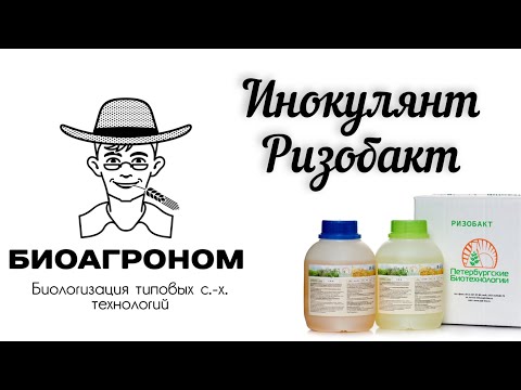 Инокулянт - Ризобакт