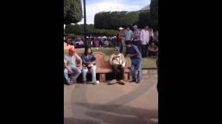 Don salu Degollado jal
