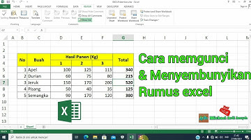 Cara Mengunci Lembar Kerja Di Excel #TrickExcel