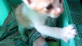 20090404 3