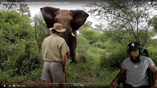 CAUGHT HIM LACKING!! 10 INSANE Animal Encounters In The Wild Caught on Camera!