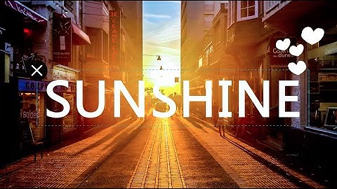 Toolwiz Photos App : Pro Photo Editor for Android Phones