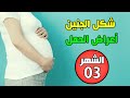 شكل الجنين وأعراض الحمل في الشهر الثالث