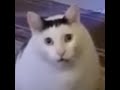 Sadly, I won't be able to stream my ToEV runs because of lag spikes.