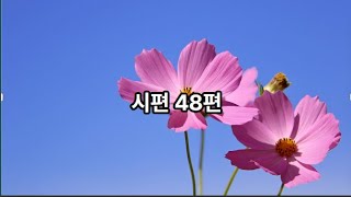 시편48편(성경통독 하루세장)/성경읽기/성경듣기/매일 업데이트