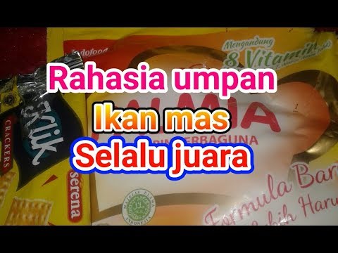 Racikan Umpan ikan mas super jitu susah makan/galatama dan lokal no