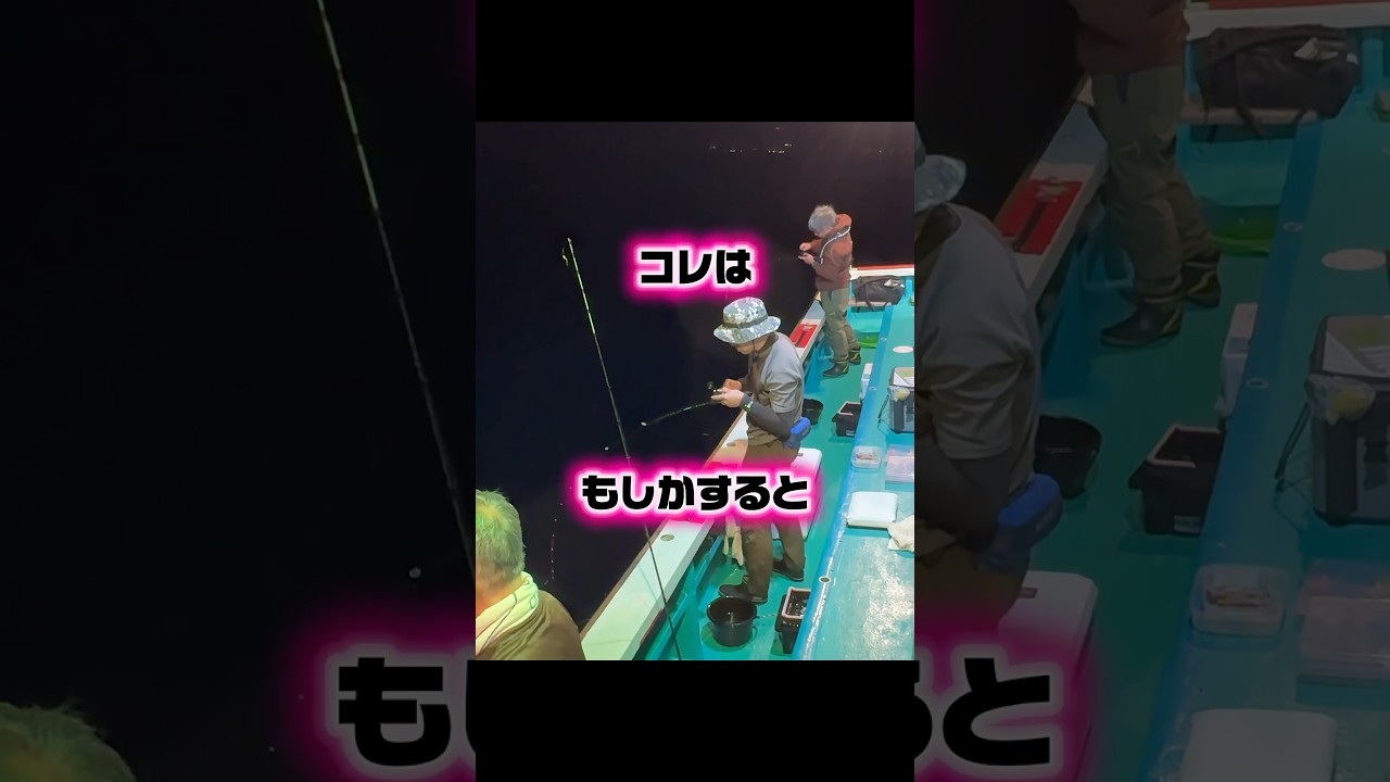 【釣り🦑】コレはもしかすると #釣り #おすすめ #アウトドア