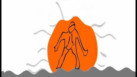 Rotoscope Experiment with Flash for week 5