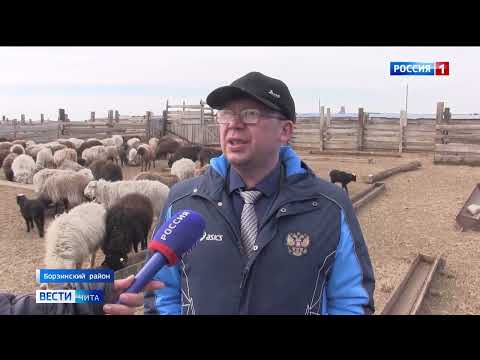 Бейне: Әйелдің әзілі әйел әйел Стив Джобсты үлгілі отбасына айналдырды