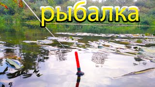 Рыбалка в сенятбре . они всё таки клюнули!