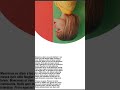 split the design