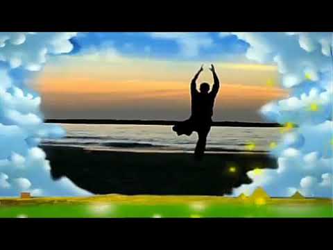 The Amazing World 2006 2005