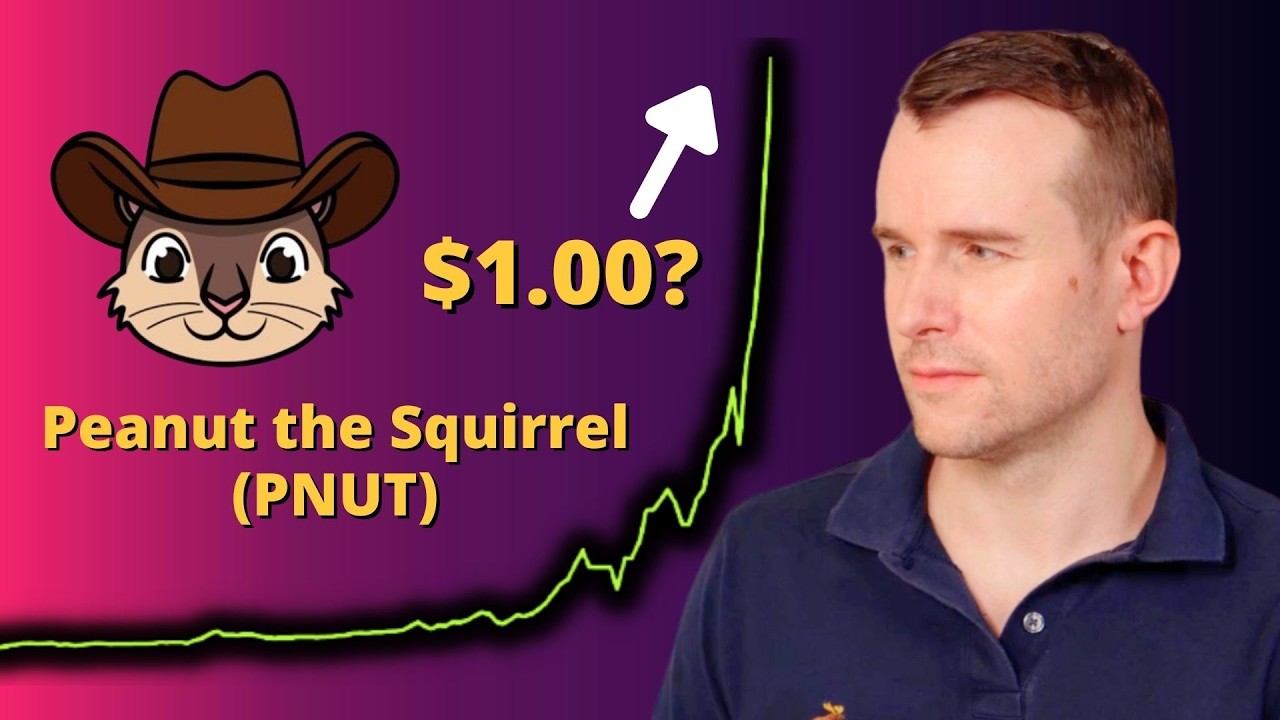 Can PNUT Go To $1.00? 🤔 Peanut the Squirrel Crypto Token Analysis