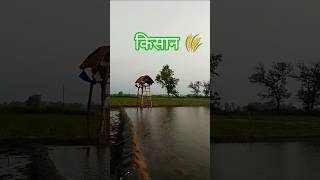 #KhetiKhajana #VillageLife #GreenField #MorningView #Farming