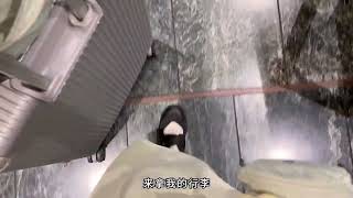 店，送给自己一场浪漫的梦境#旅行vlog #旅行 #慢生活mlife #日本旅行