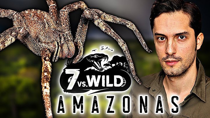 7 VS Wild Amazon: Dangerous animals and plants! Biologist explains