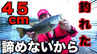 最後まで諦めないからドラマ魚に出会える！！