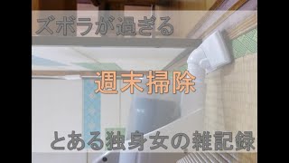 【週末掃除】窓拭き、掃除機がけ、風呂【ズボラが過ぎる】