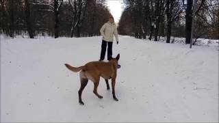Малинуа Афи - "кольцо рук" и "бабочка" в движении Малинуа Афи - "кольцо рук" и "бабочка" в движении