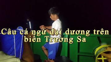 Câu cá ngừ đại dương trong đêm trên biển Trường Sa
