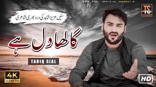 Gahla Dil || Singer Tariq Sial || Saraiki Punjabi Song 2023