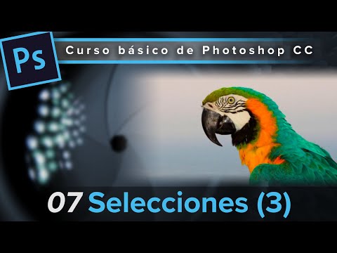 07. Selecciones (3) (Curso básico de Photoshop CC)