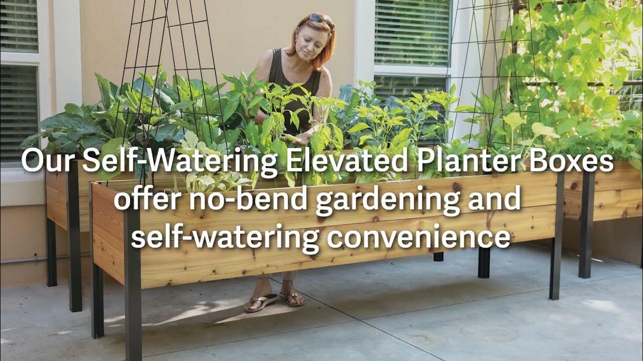 Self-watering Elevated Garden Planter