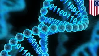 Data storage: Microsoft planning to use DNA to store digital data - TomoNews