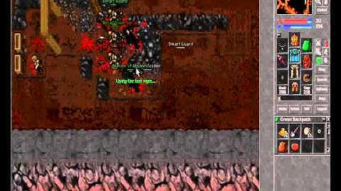 #006 [TIBIA] How to kill bot without frag - Selena - Hunter of lightness 45 MS [28.08.2009]