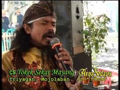 Mawar Embun, Bikin Merinding, Voc Tokek Sekar Mayang