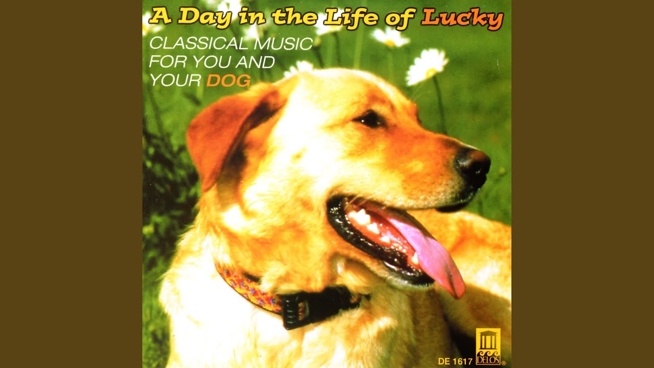 Old American Songs I IV. Simple Gifts (arr. for guitar quartet) YouTube