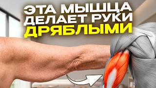 Не качайте ТРИЦЕПС! Одна точка на руке убирает обвисшую кожу за 3 движения
